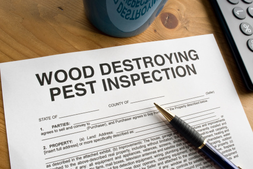 Wood Destroying Pest Inspection paperwork on a desktop