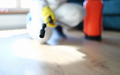 8 Easy Steps For Mold Remediation In Crawl Space