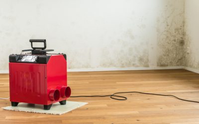 Crawl Space Dehumidifier Installation In 7 Easy Steps