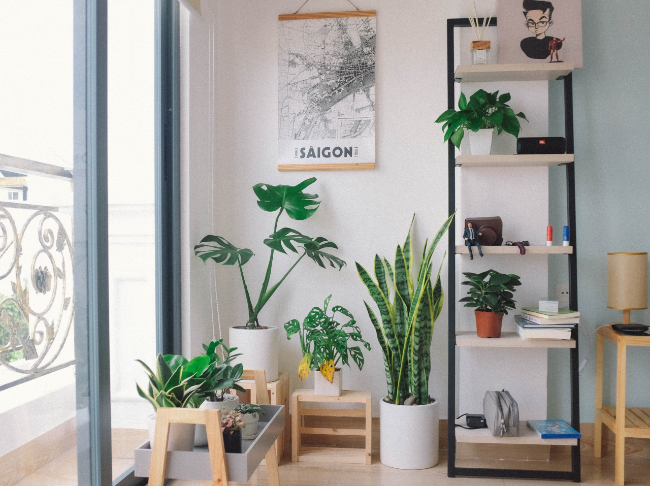 10 Best Plants For Indoor Air Quality Improvement