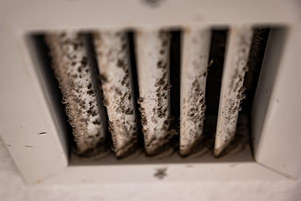 Hire a remediation company to kill mold in air ducts