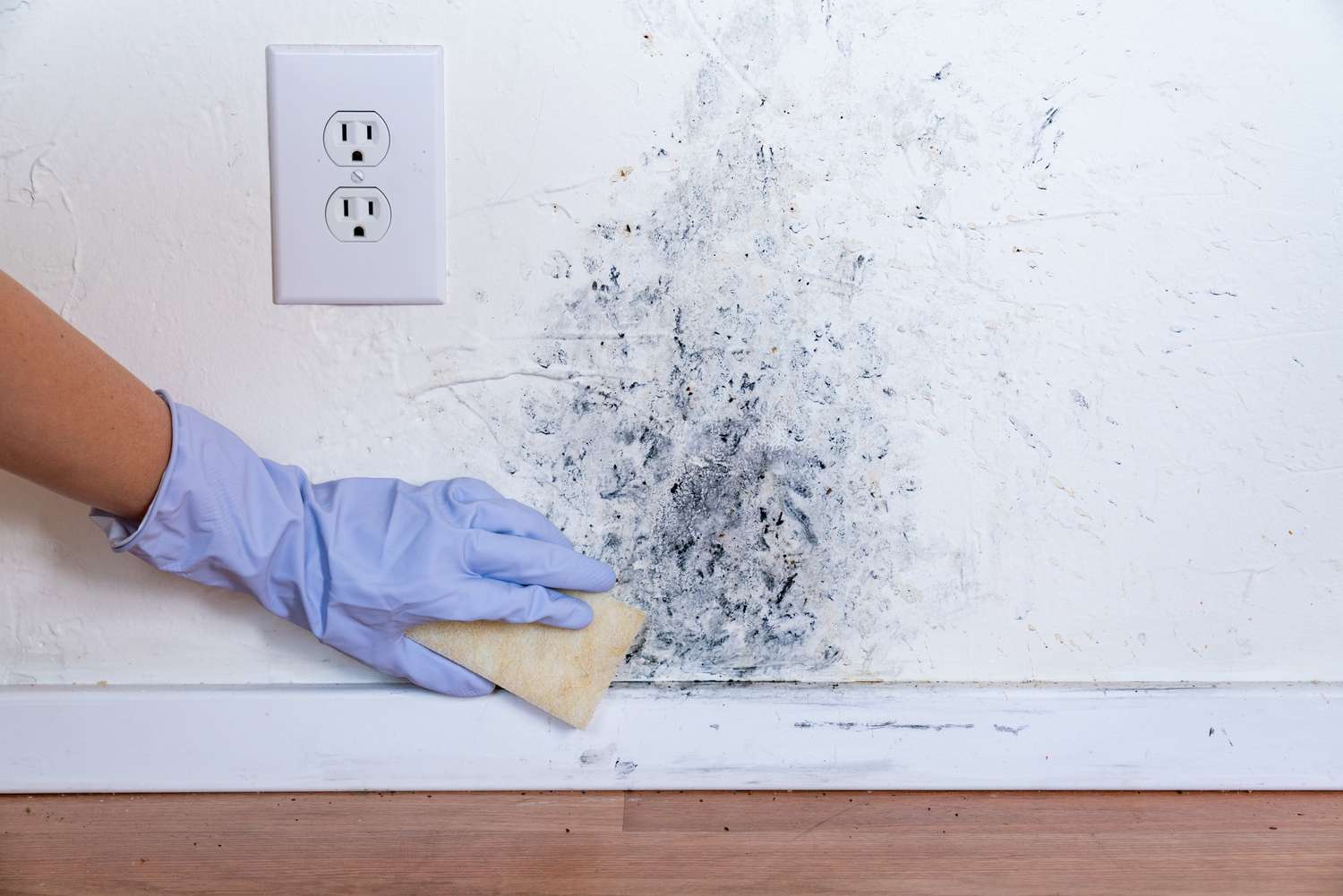 Mold penetrates walls in confined spaces like crawl spaces and may have a powdery appearance
