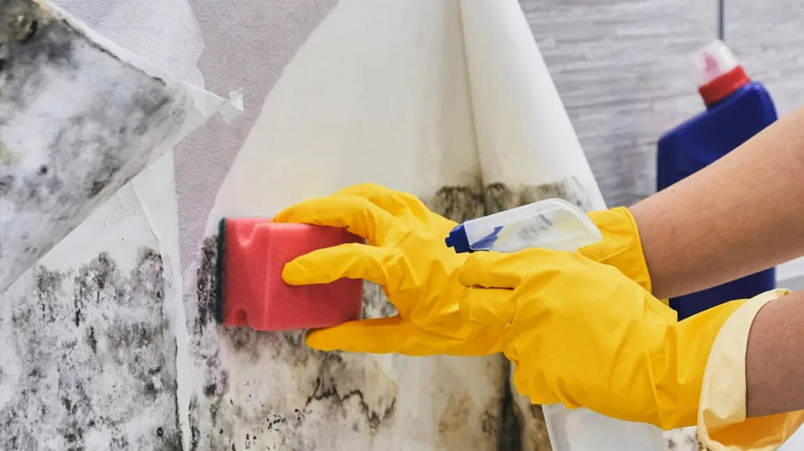 Use baking soda solution on a moldy area to get rid of mold problems in an affected area